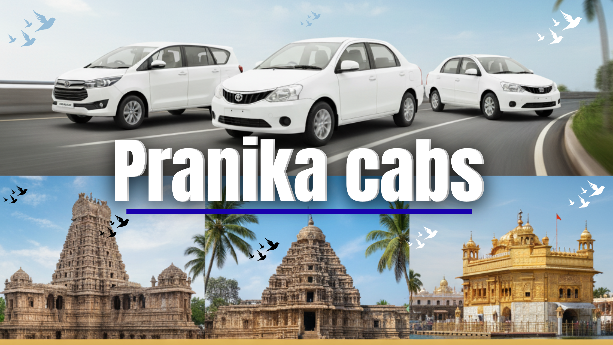 Parnika Cabs premium fleet ready for guests